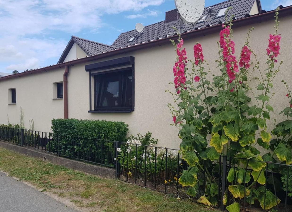 Ferienhaus An Der Ostsee Rerik Bagian luar foto
